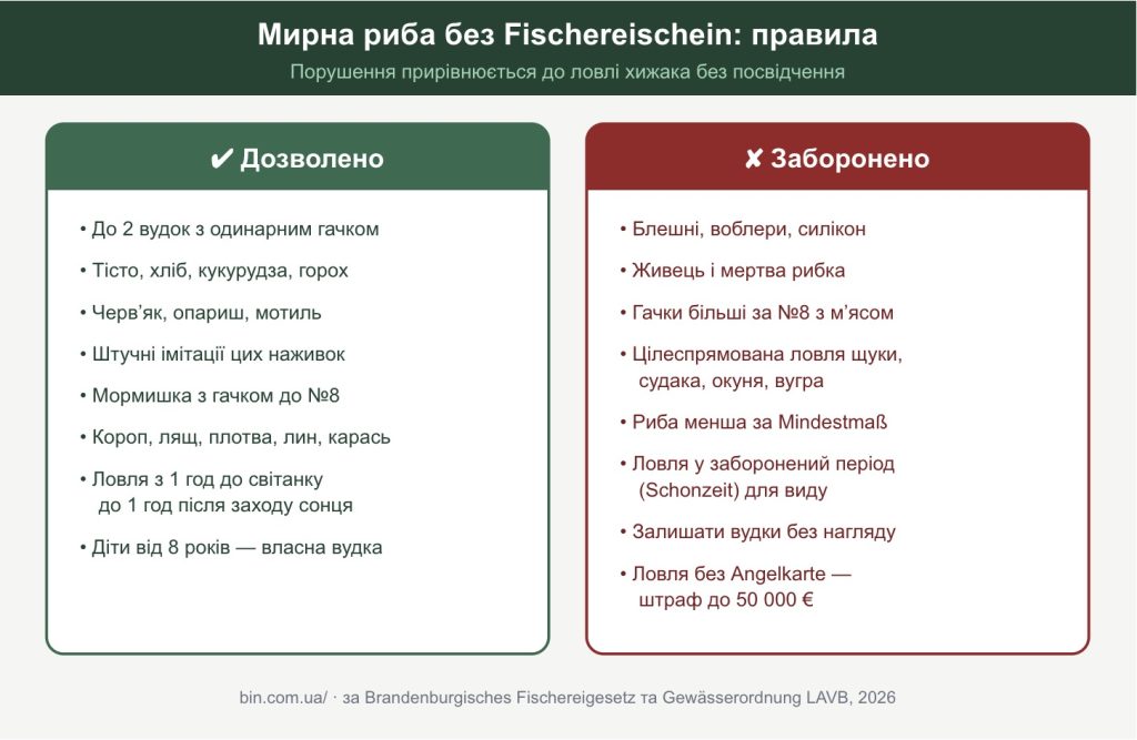 Пам’ятка: дозволені та заборонені снасті, наживки й дії під час ловлі мирної риби без Fischereischein