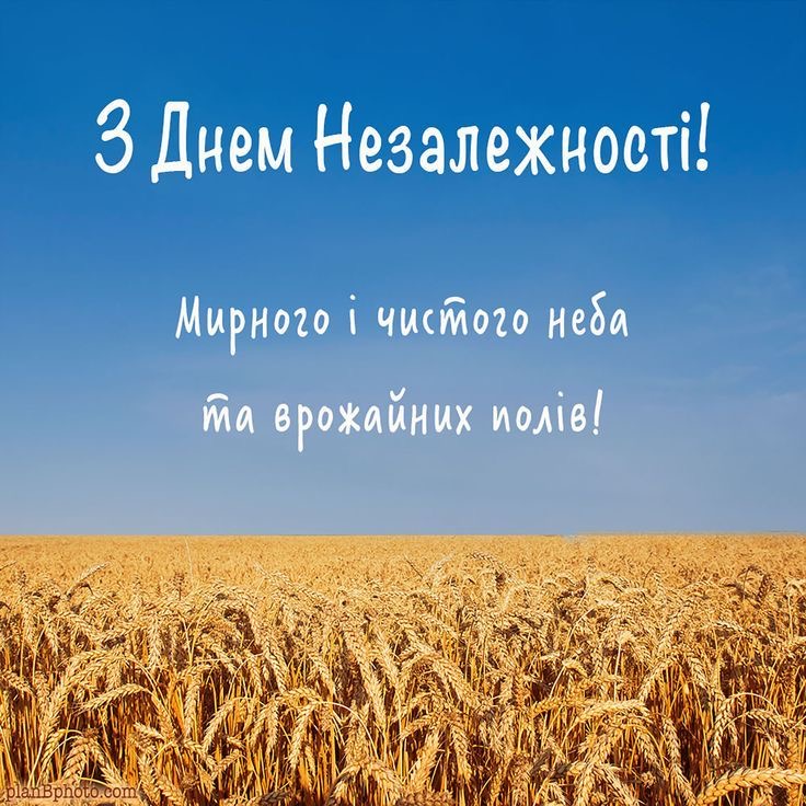Привітання з Днем Незалежності України 2026: красиві слова у прозі, віршах, СМС і листівках