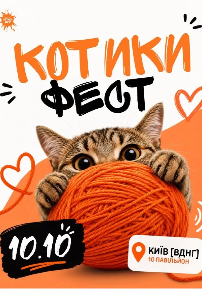 Котики Фест повертається до Києва 10 жовтня: що буде на фестивалі та де купити квитки