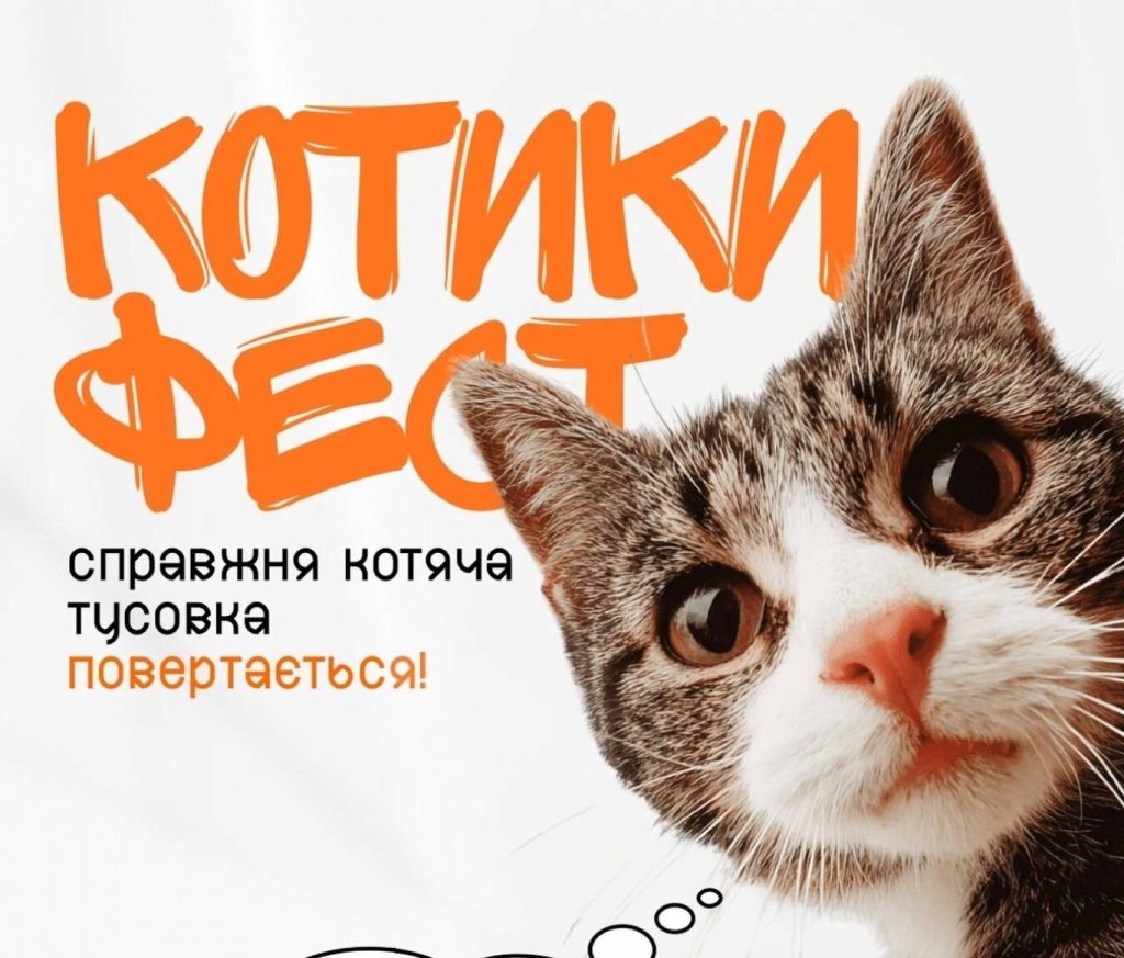 Котики Фест повертається до Києва 10 жовтня: що буде на фестивалі та де купити квитки Котики Фест повертається до Києва 10 жовтня: що буде на фестивалі та де купити квитки